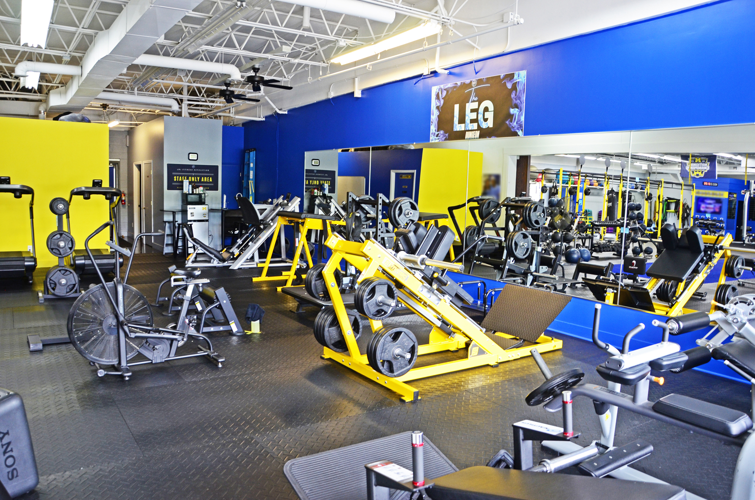 3N1 Fitness Revolution in Ann Arbor