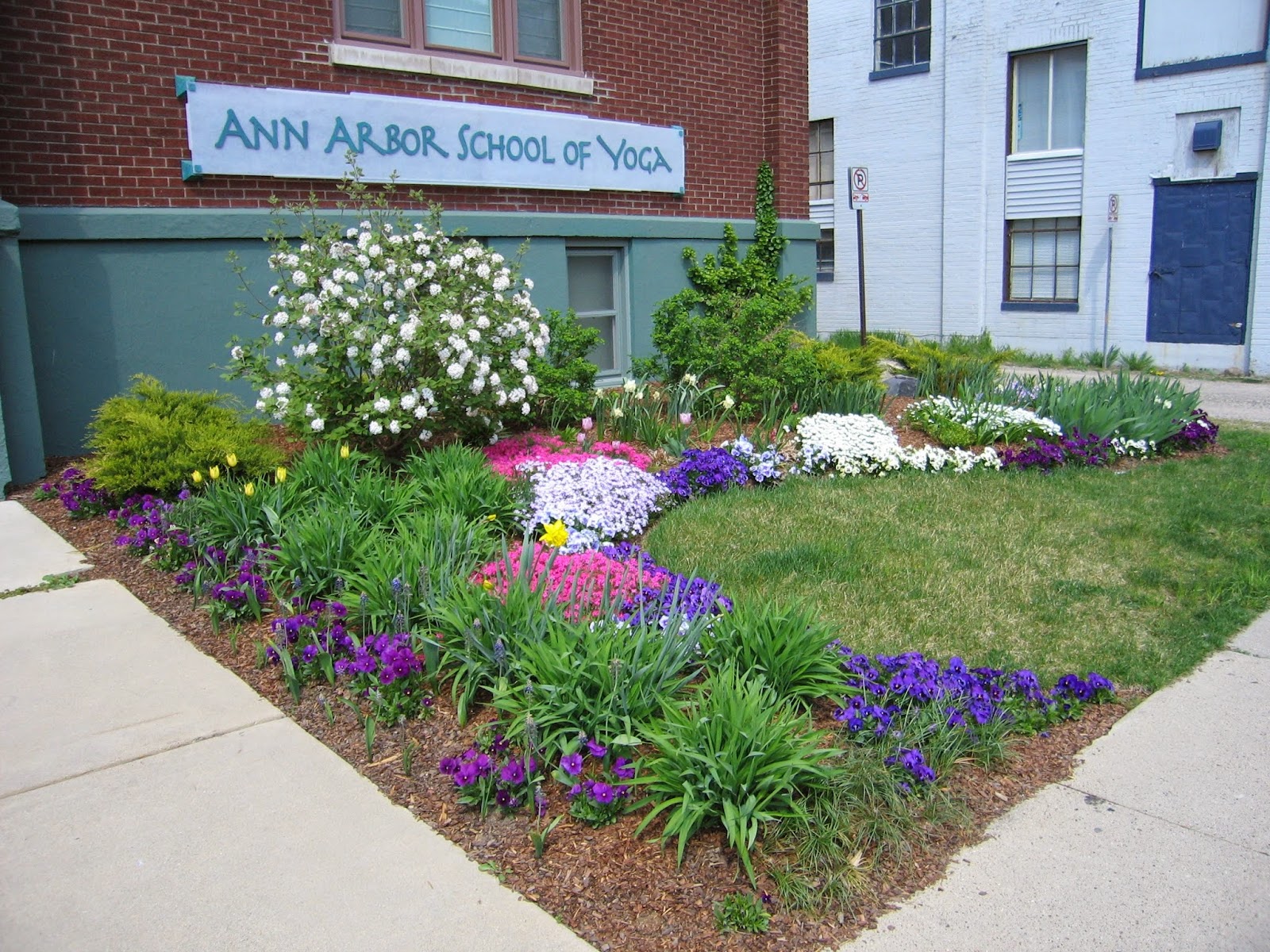 Ann Arbor School of Yoga in Ann Arbor