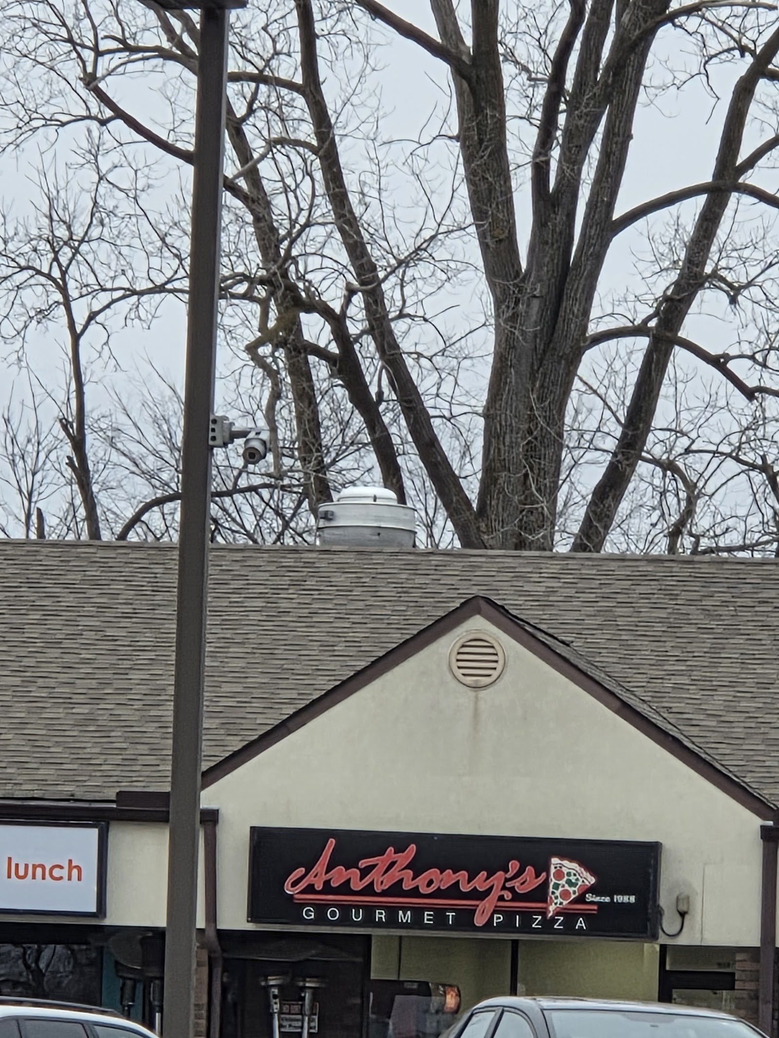 Anthony's Gourmet Pizza in Ann Arbor