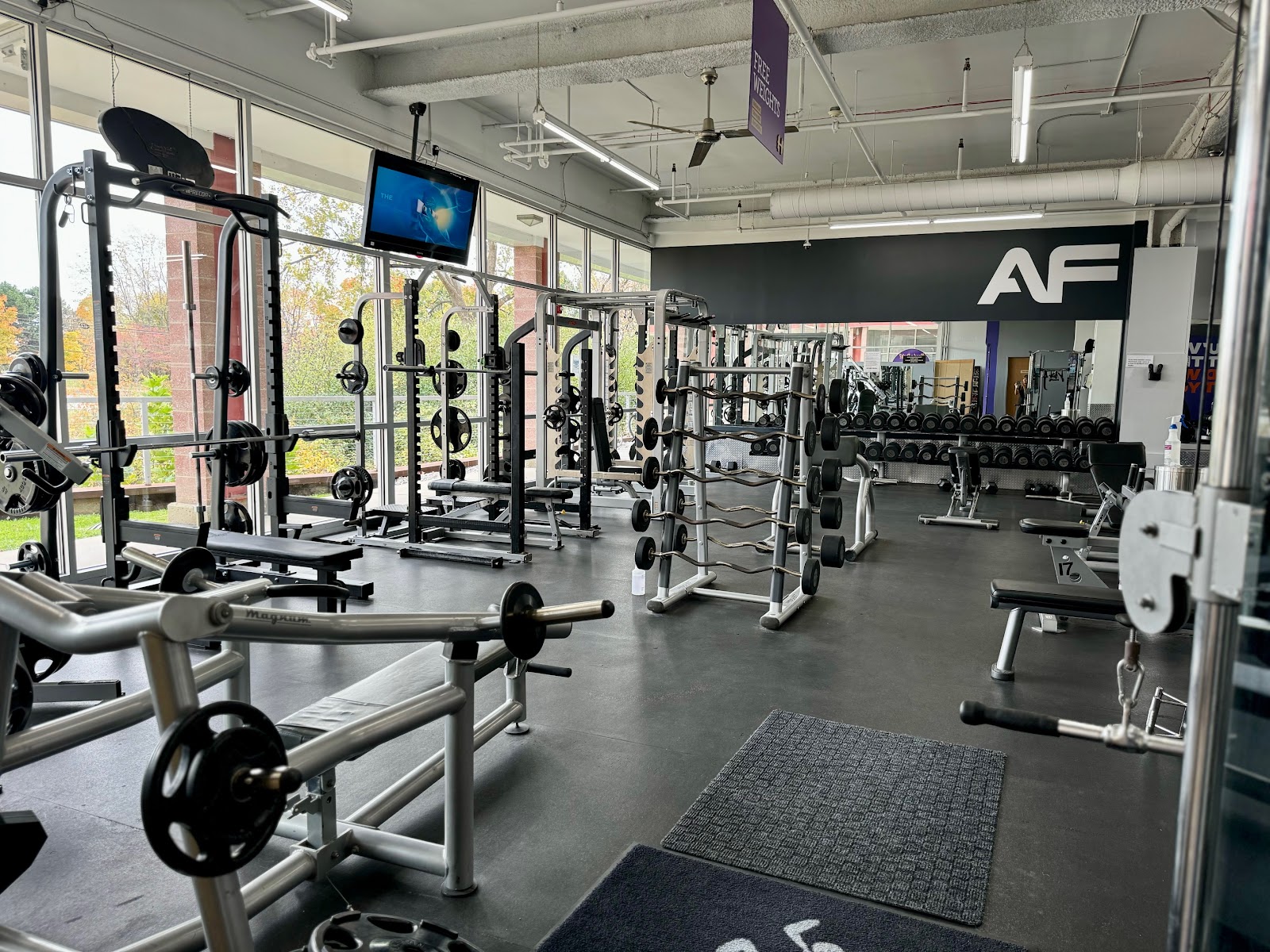 Anytime Fitness — photo