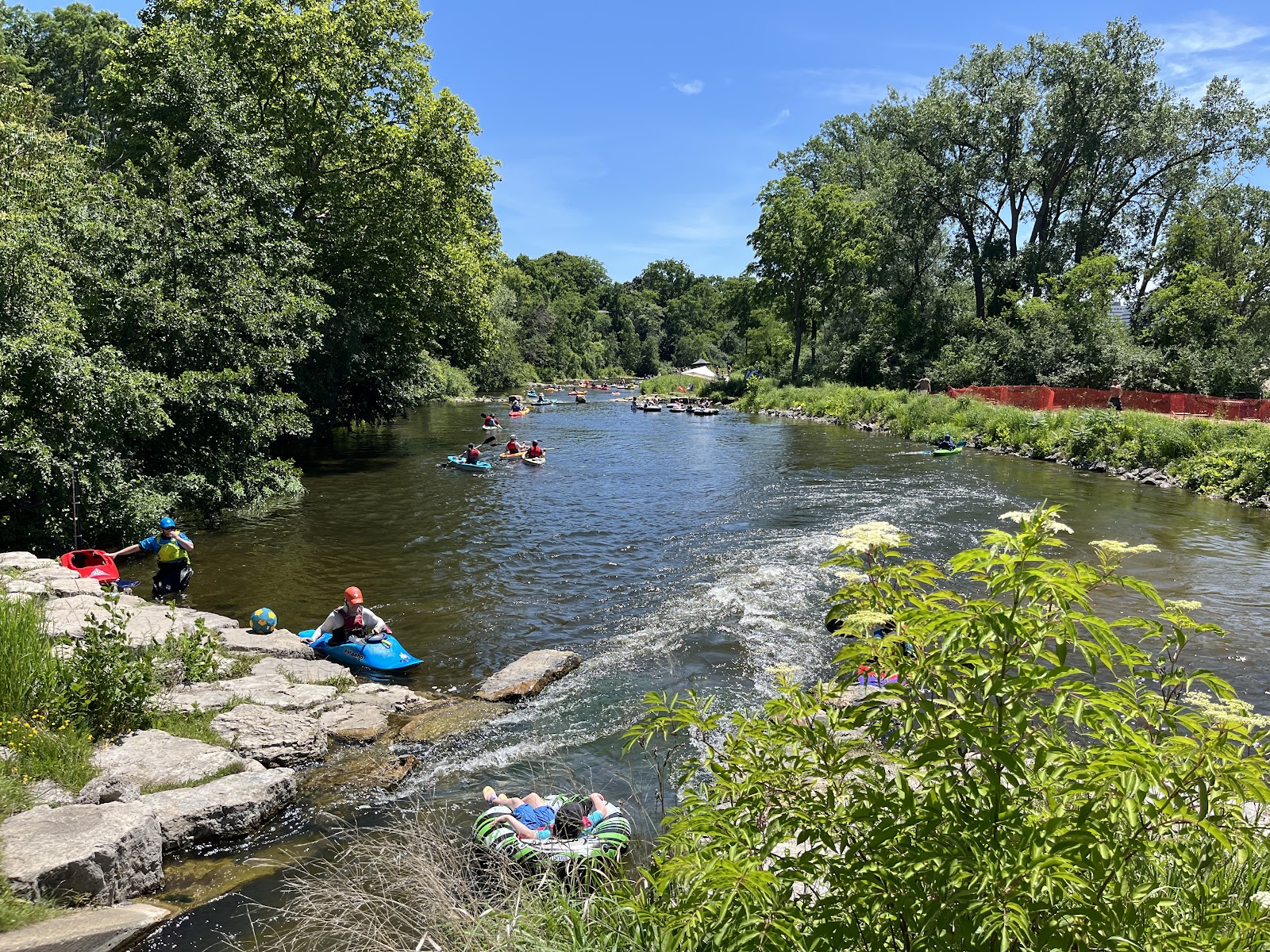 Argo Nature Area in Ann Arbor