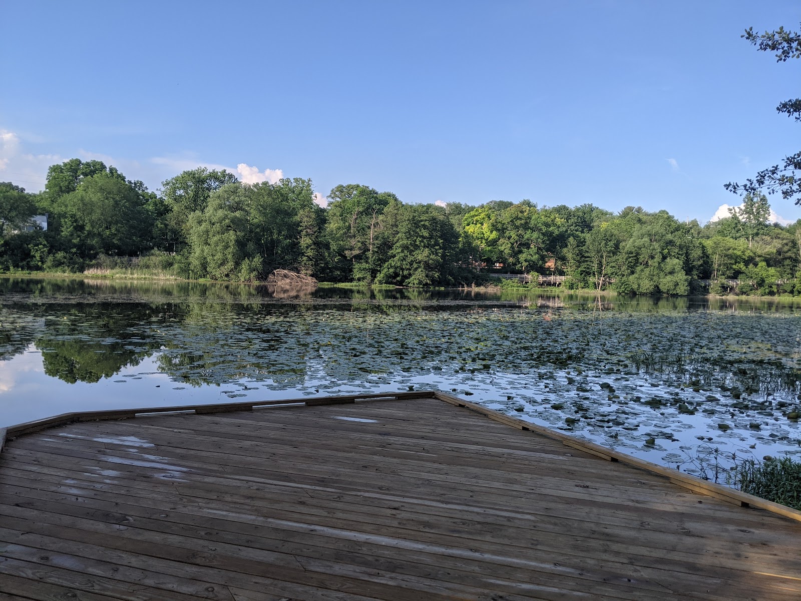 Bandemer Nature Area — photo