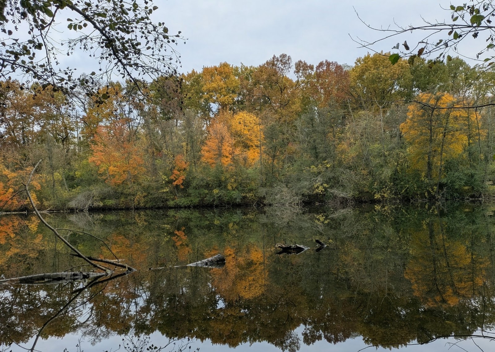 Furstenberg Nature Area in Ann Arbor