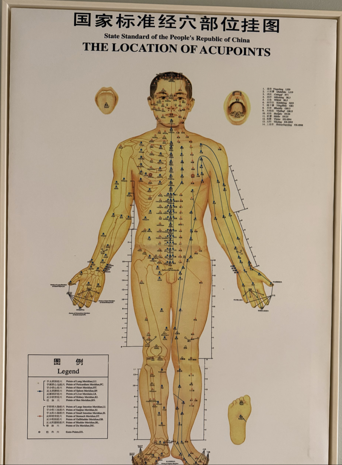 Oasis Health Spa in Ann Arbor