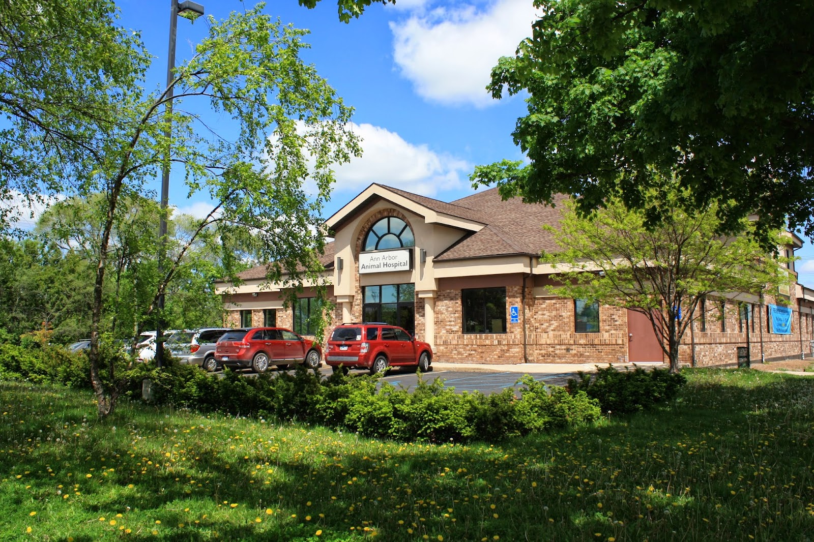 Ann Arbor Animal Hospital — photo
