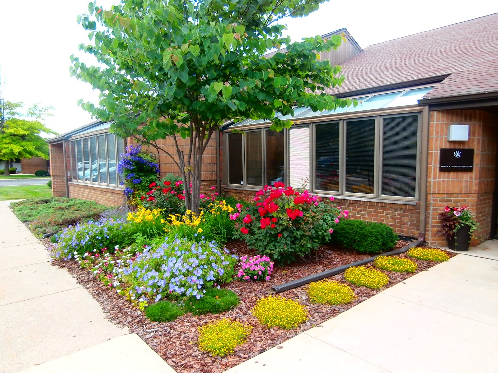 Everwell Dentistry — photo