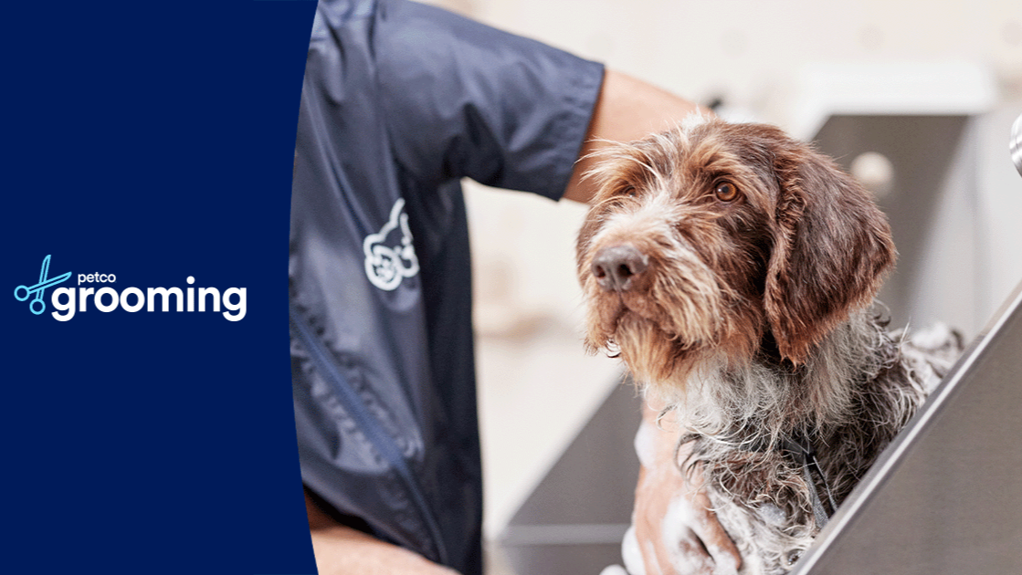 Petco Grooming in Ann Arbor