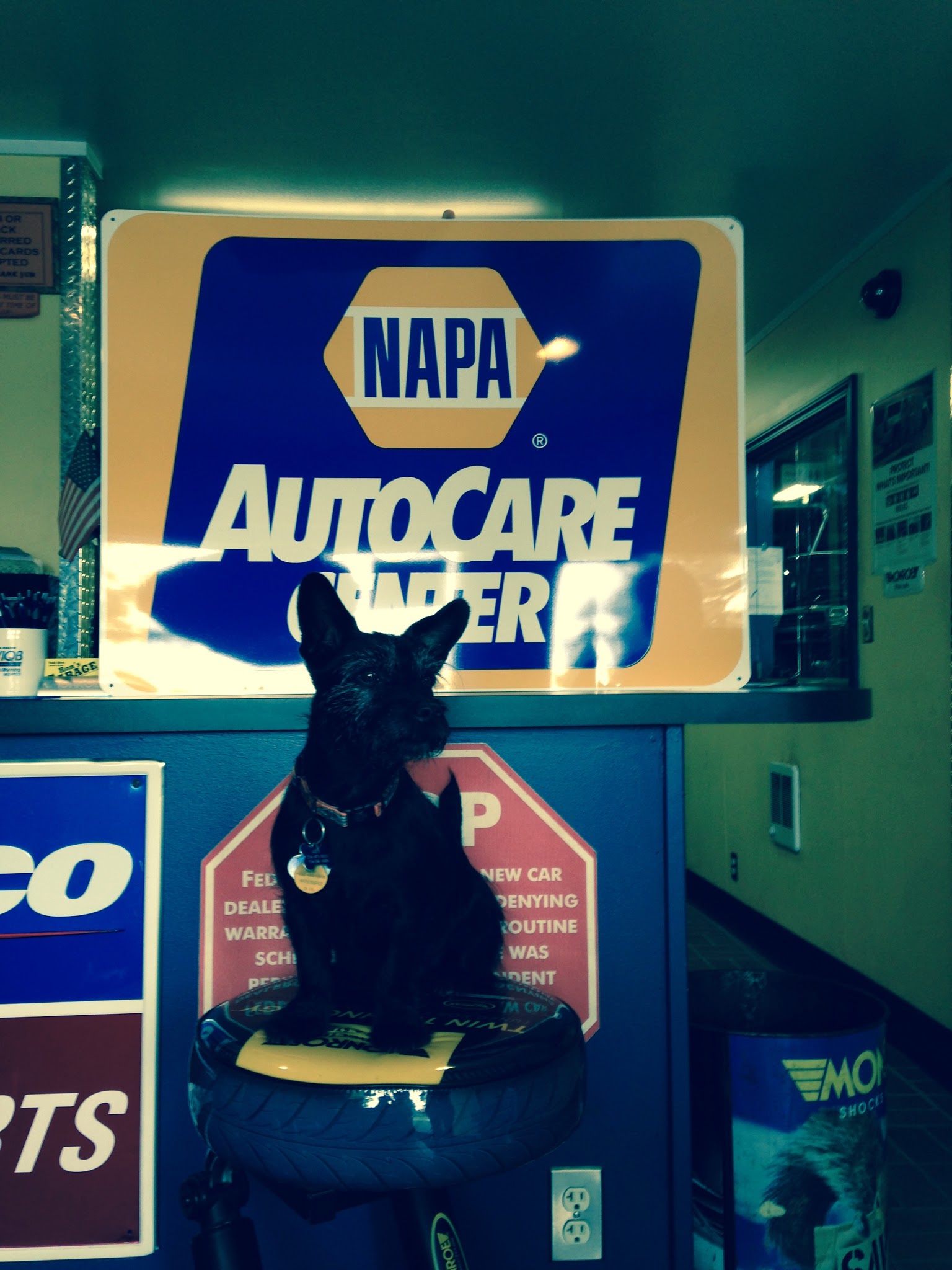 Ron's Garage — photo