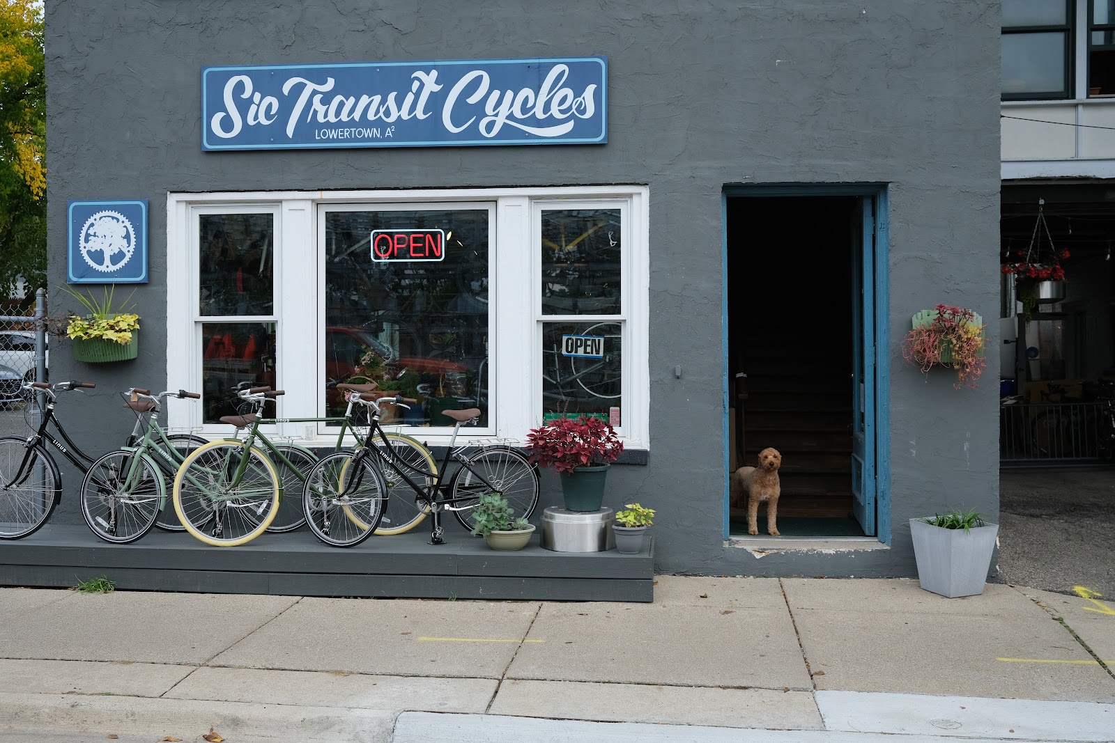 Sic Transit Cycles in Ann Arbor