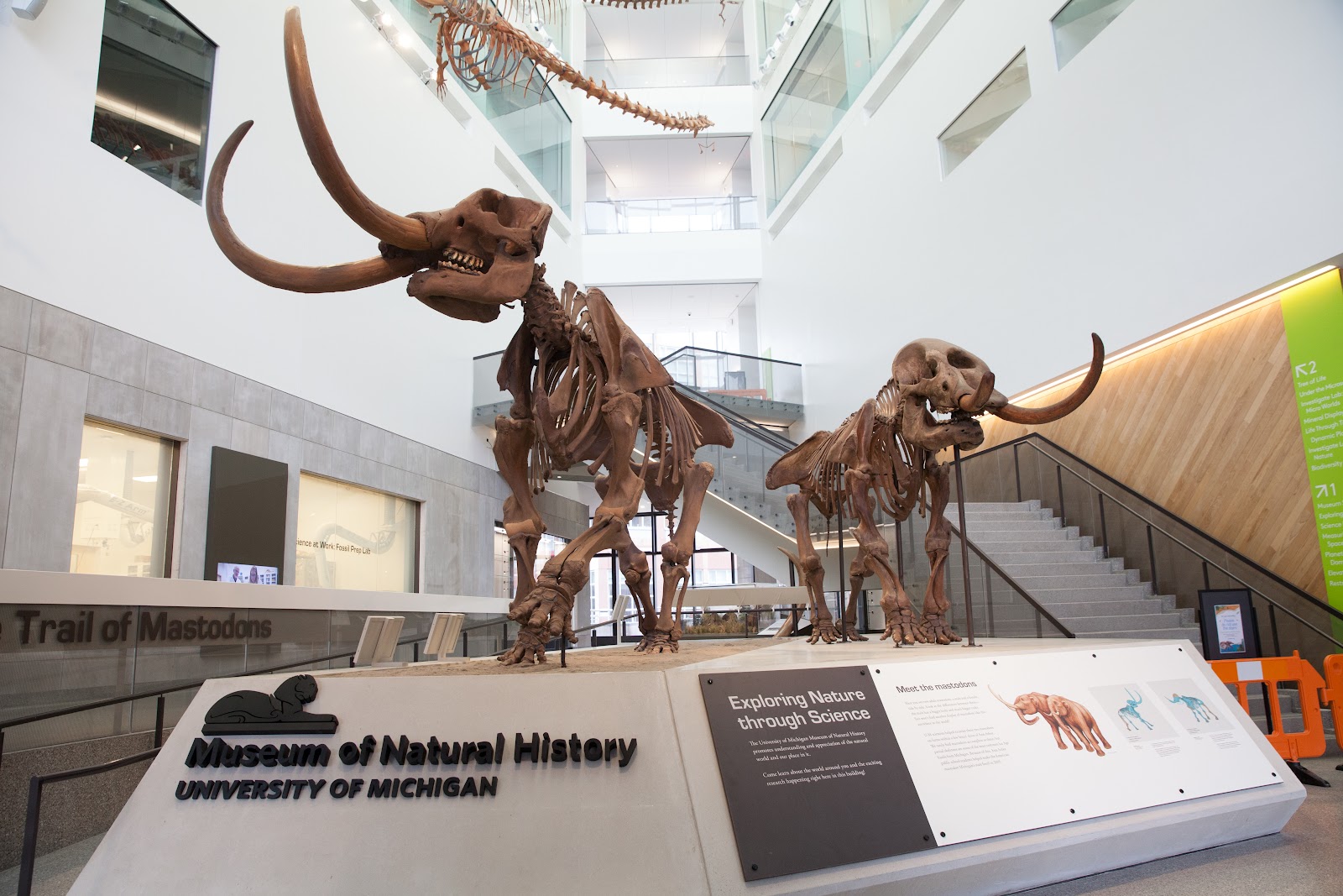 University of Michigan Museum of Natural History — photo
