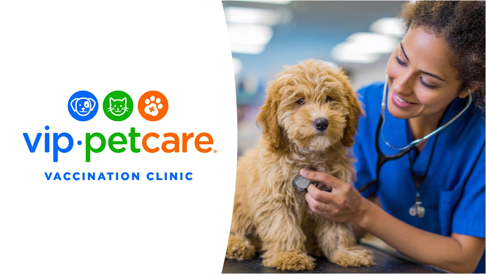 VIP Petcare Vaccination Clinic — photo